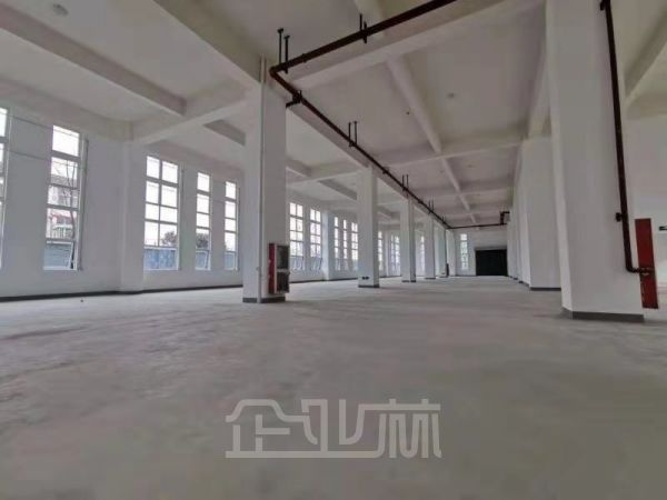 出租 江苏常熟独门独院单层厂房面积10000平，产证齐全，可办环评