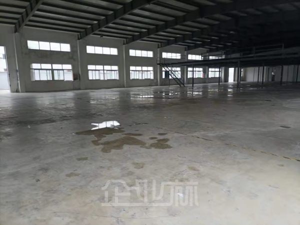 出租新桥2600平单层厂房 独门独院 闵行交界