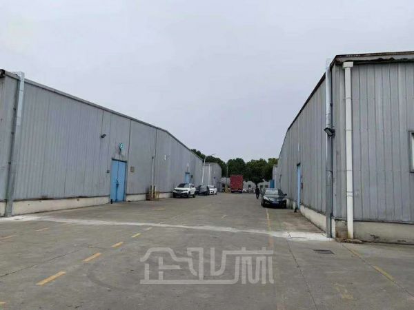 出租闵行莘庄独栋单层厂房,16000平可分割,交通方便