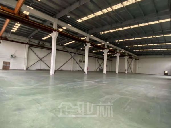 出租洞泾单层2300平厂房 104地可生产 高10米带行车