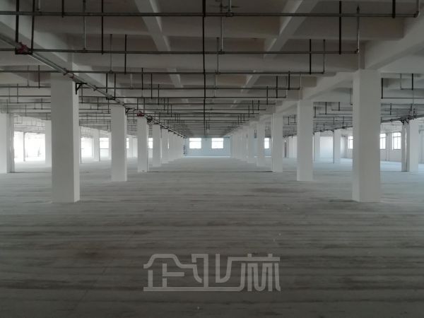 出租昆山27000平双层厂房 高9米 可分割 无污染企业优先