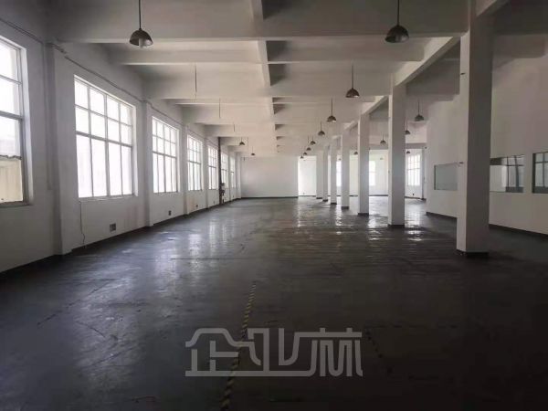 出租天马6700平厂房 独栋双层3400平 面积可分割