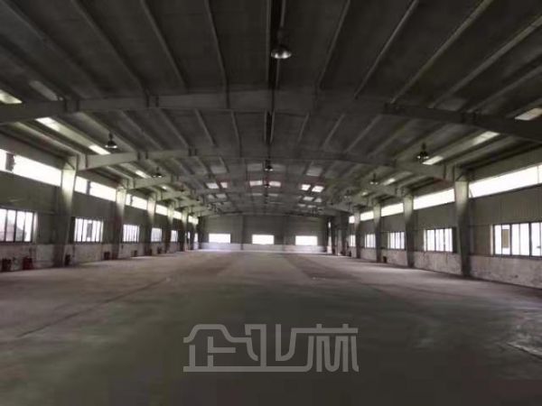 出租松江2400平厂房 独栋高6米 无立柱 组装研发轻加工