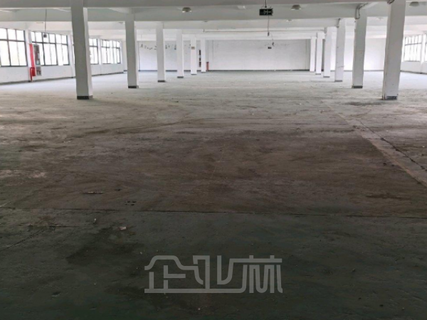 出租青浦虹桥边7000平独门独院双层厂房
