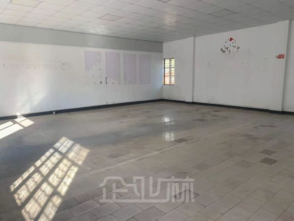 出租 青浦区重固镇1600独门独院厂房 独门独院 厂房场地1：1