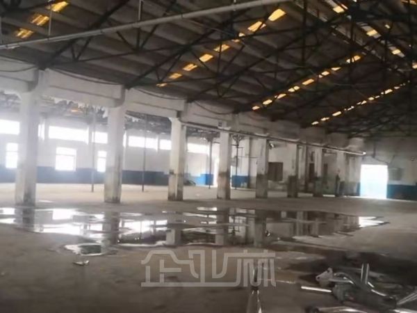 出租 嘉定外冈3000平独门独院厂房 104地段 场地大 有电镀环评