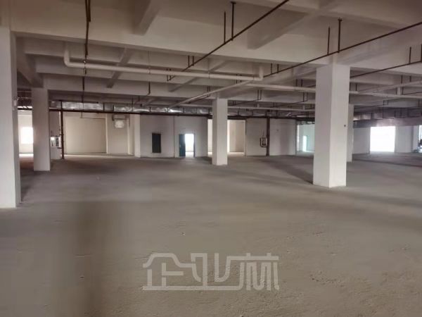出租 松江食品园区800~4000平全新厂房 104地段 食品大环评 有蒸汽燃气