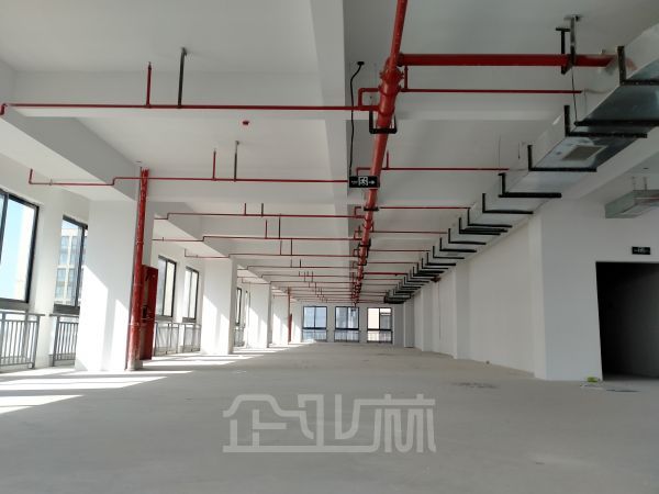 出租青村1200平独栋厂房 办公研发生产 104地 形象好