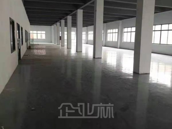 出租 青浦赵巷镇盈港东路1600平厂房带冷库 104板块