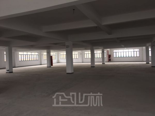 江干区1700方标准厂房出租可办公仓储等