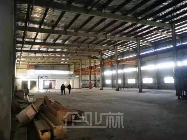 出租奉浦5500平厂房 高7米 空地5亩 104地带行车