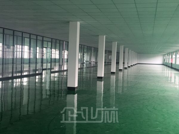出租新桥厂房2600平 丙二消防精装修 门口有轨电车