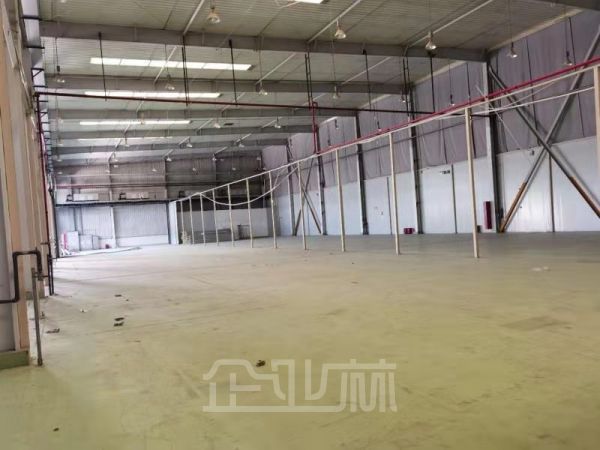 出租颛桥厂房4100平 高12米 104地  可分割 园区形象好