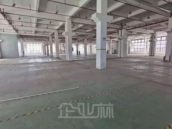 松江厂房出租 104地 独栋12800平  交通便捷