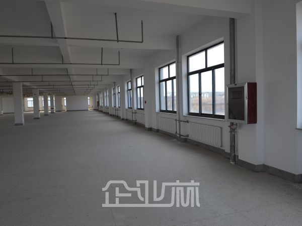 湖州德清1000标准厂房出售