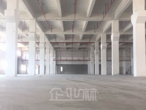 上海嘉定全新单层厂房出租，104地块，层高9米