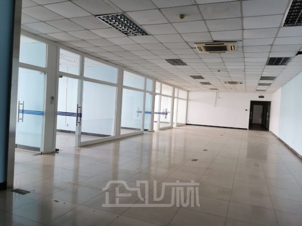 出租 浦东新区外高桥保税区9818平独门独院高标准双层坡道物流仓储 消防丙二级