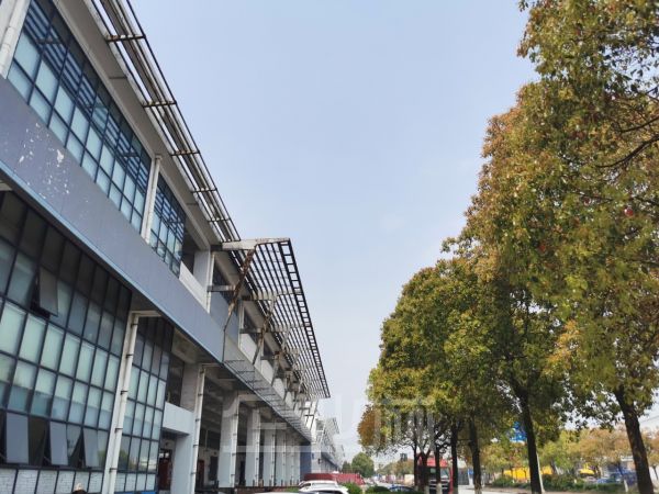 出租 浦东新区外高桥保税区9818平独门独院高标准双层坡道物流仓储 消防丙二级