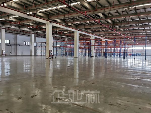 出租 浦东新区外高桥保税区9818平独门独院高标准双层坡道物流仓储 消防丙二级