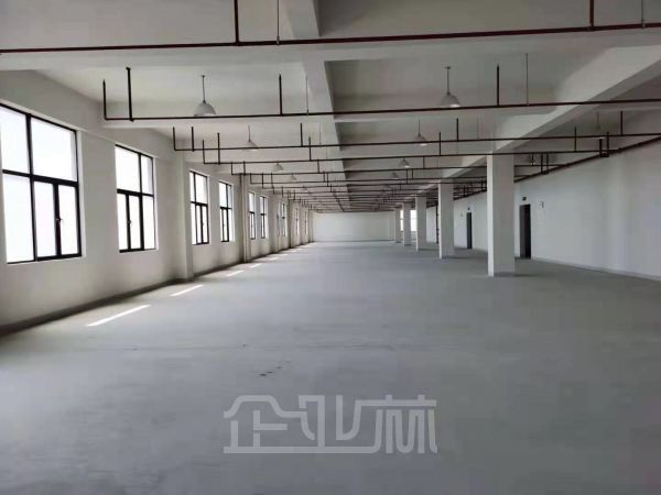 出租 上海宣桥镇新建3栋多层厂房共计23000㎡大小可分租，140㎡起租 104地块