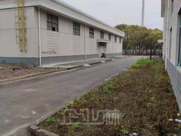 出售 奉贤拓林镇5300平独门独院厂房 土地24亩 售价3500w