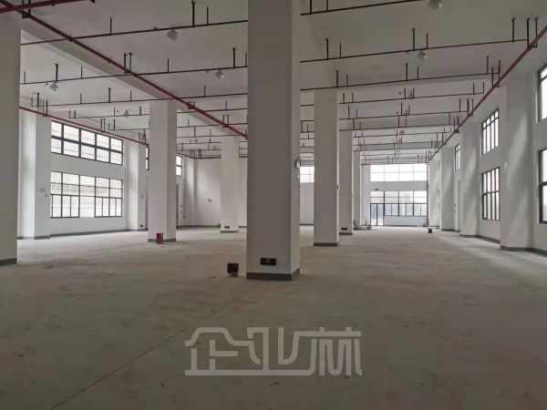 出租 松江施园路450~2000平多层厂房