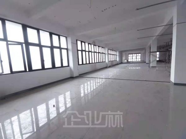 出租 康桥东路7191㎡多层办公厂房 104地段 110平起租 交通便捷