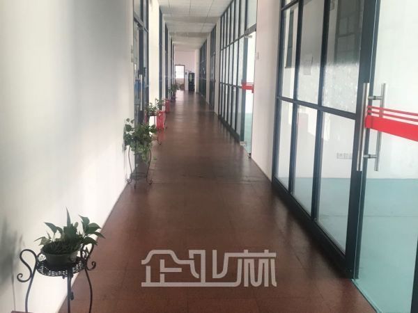 上海奉贤独门独院10000平标准厂房仓库出租