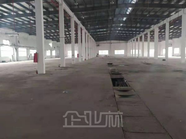 江苏太仓20000平单层厂房仓库出租
