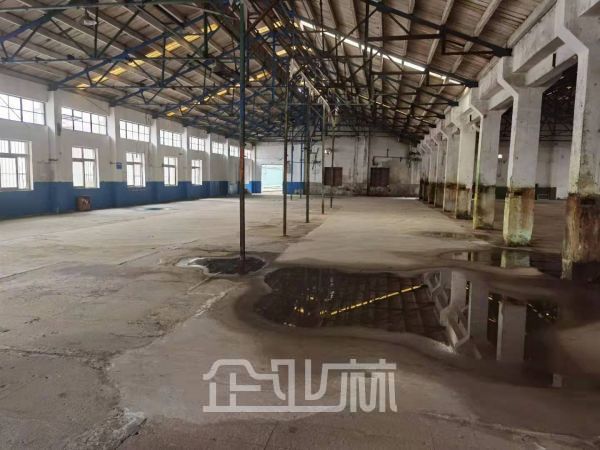原房东直租 嘉定外冈3000平独门独院厂房 104地段 场地大