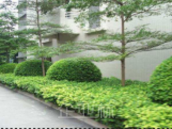 厂房正门图