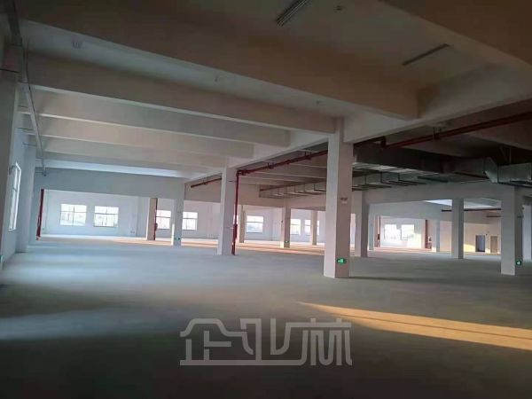 出租 昆山富尔路剩余二楼整层4280平 环氧地坪已做好 层高5.5米 可分租