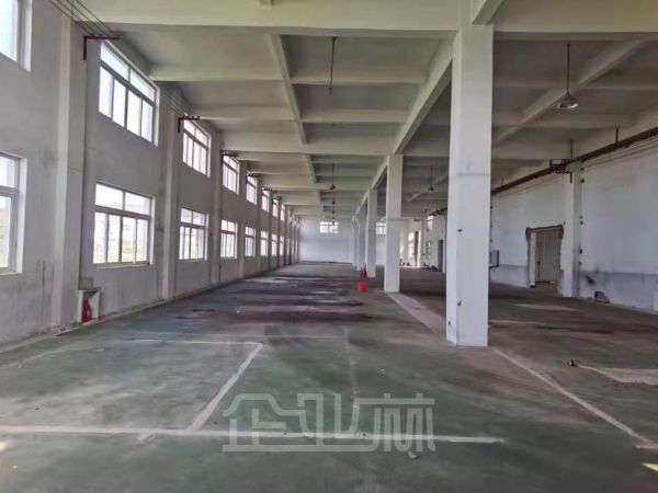 出租 浦东新区三吉路129~800平多层厂房 价格0.5元起