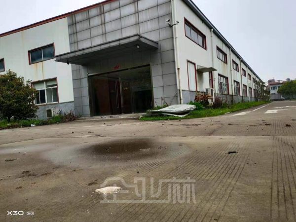 松江新桥单层厂房出租4000平 可做独门独院 有玻璃环评