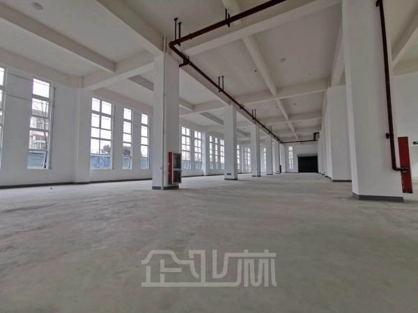松江车墩厂房出租30000平 无公摊面积 行业不限 大房东