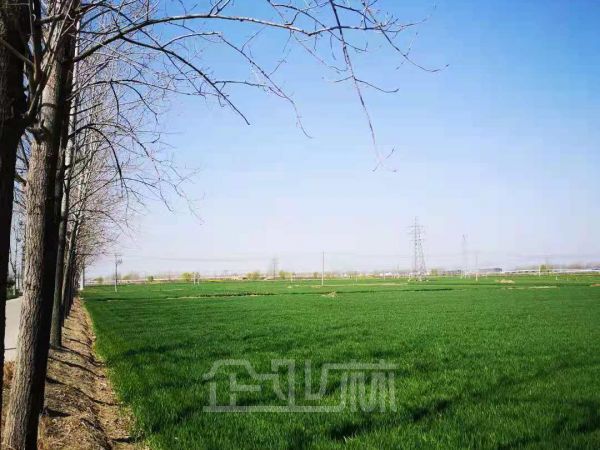 江苏溧阳30亩工业用地国土出让