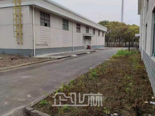 出售 奉贤拓林镇5300平独门独院厂房 土地24亩 售价3500w