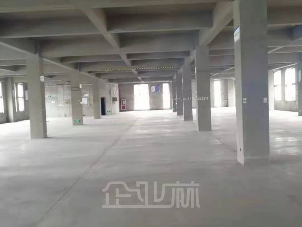 出租 嘉定工业区招贤路260-3000平多层厂房 层高7.8米