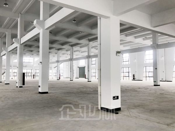 嘉兴海盐4600平全新单层厂房出租