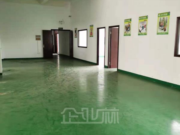 房东直租   松江区荣乐东路厂房810平方 出租
