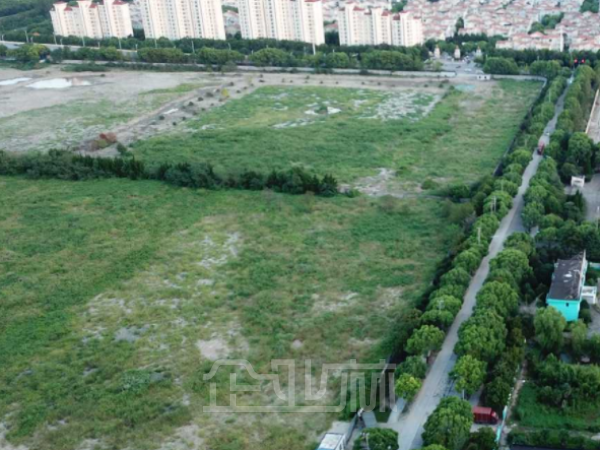 出售奉贤奉城14亩二手空地