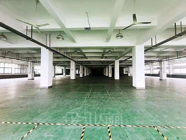 青浦万年青工业园3000-10000平104地块 可环评层高5米有宿舍食堂便利店
