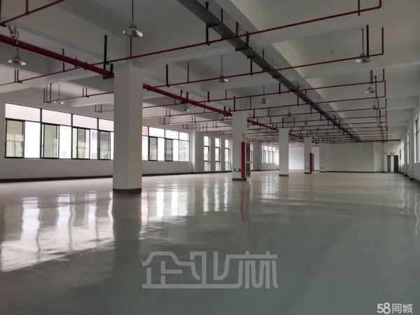 浙江省兰溪市轻工业园区5400平方厂房出租