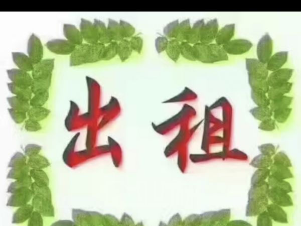 上海嘉定