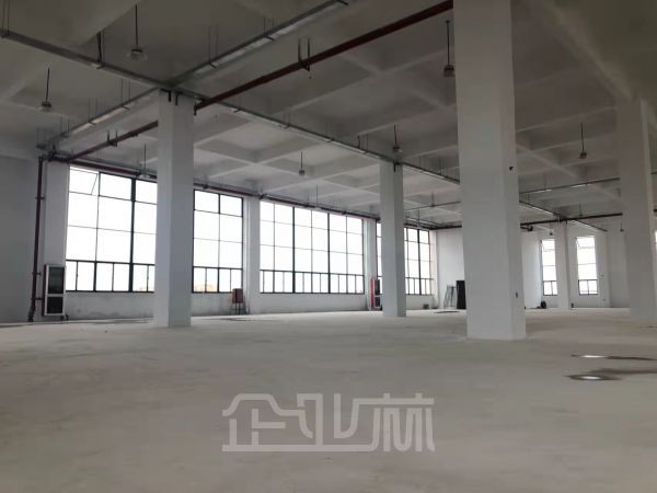 奉贤全新104板块，可环评，排污，专业食品园区出租