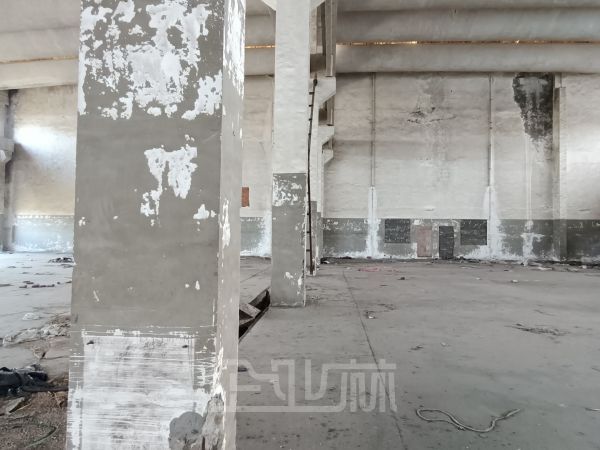江苏江阴申港厂房出租