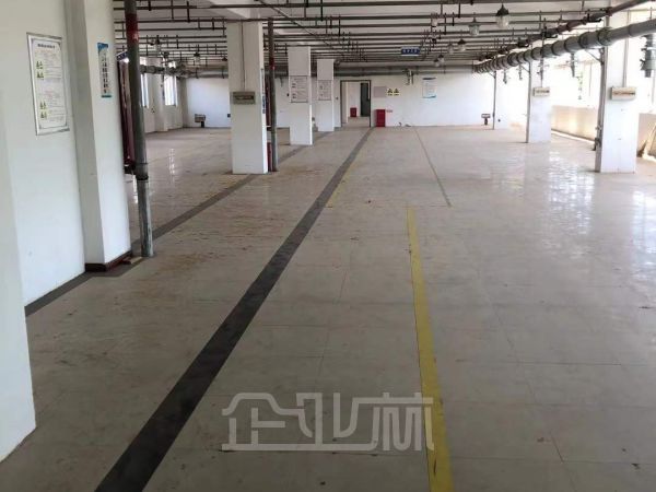 南通市独门独院厂房出售