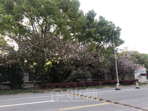 厂房正门图