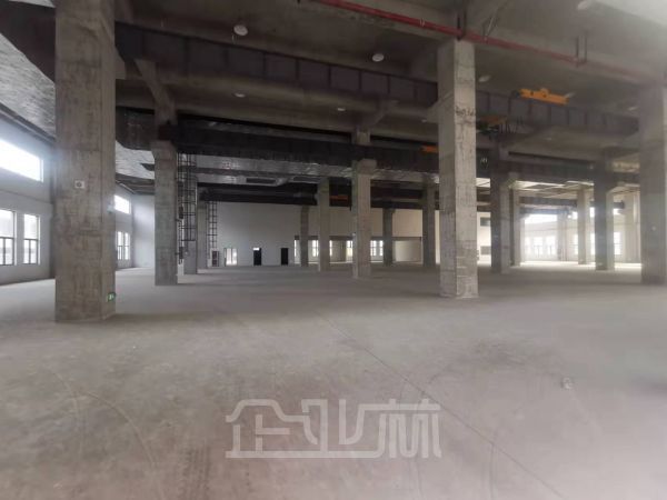 园区底楼有行车 丙二消防产证全 信义沙钢配套单位首选