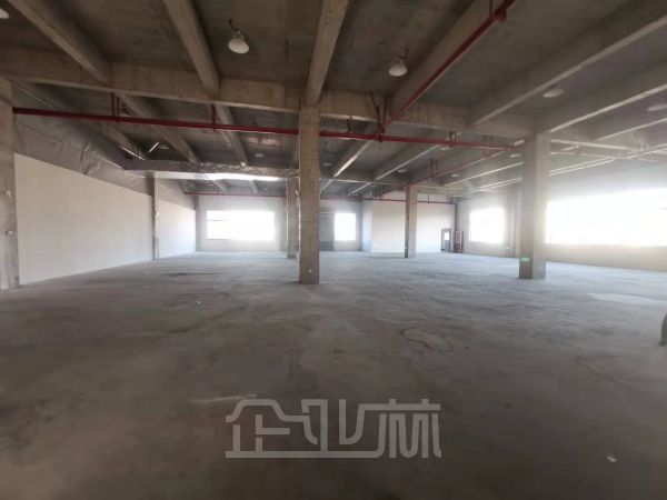 960平楼上新厂房价格低开税票园区好环境